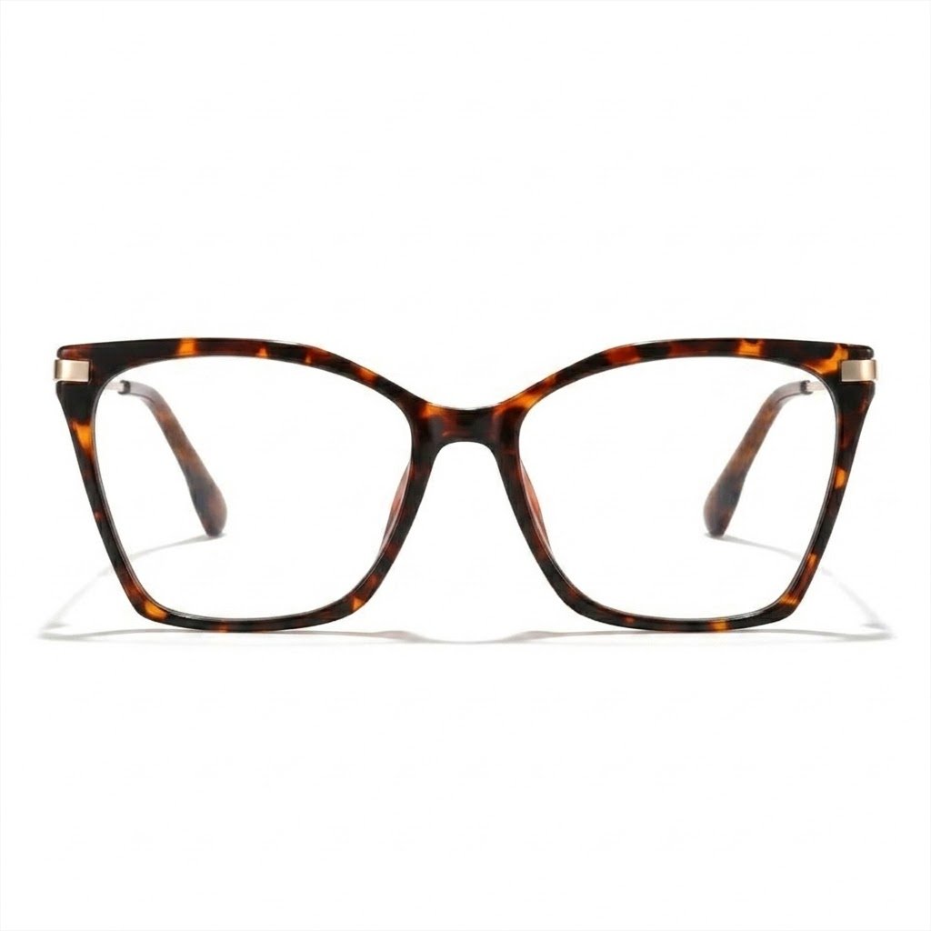 TR27003 optical frame detail