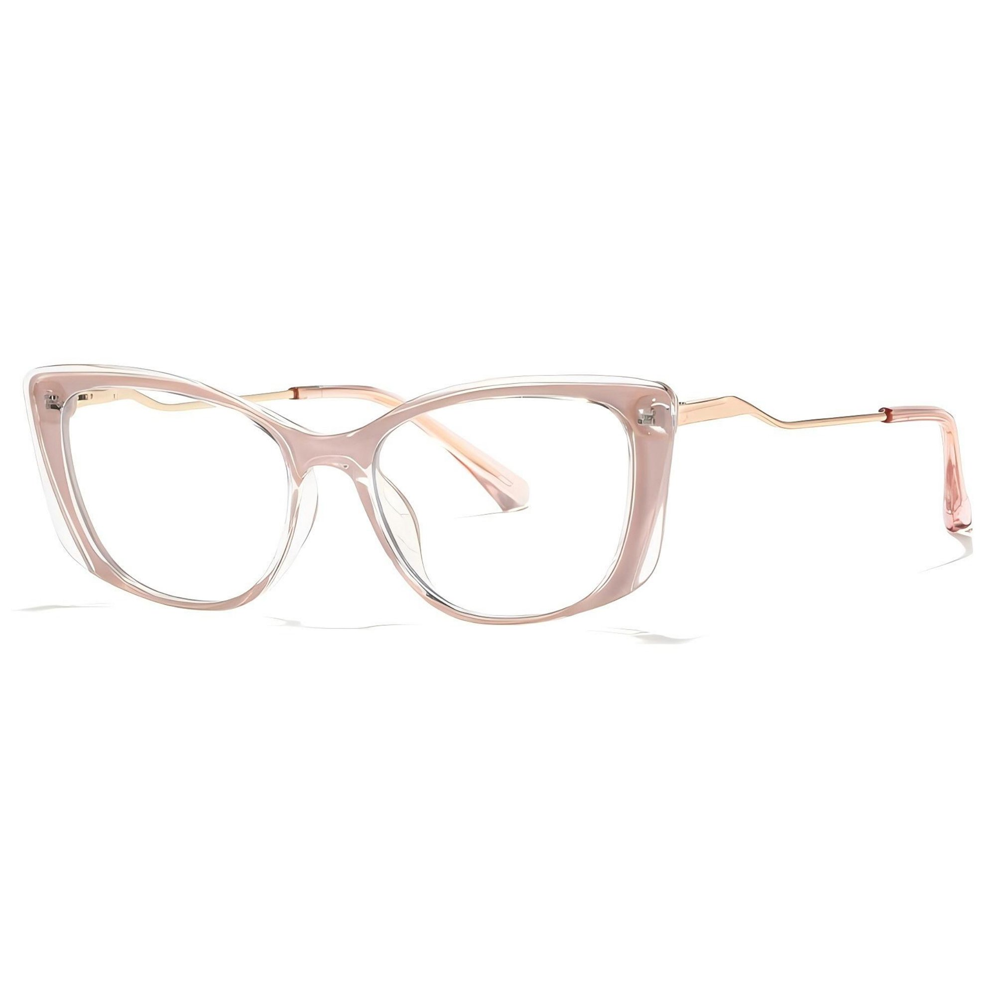 TR27042 optical frame detail